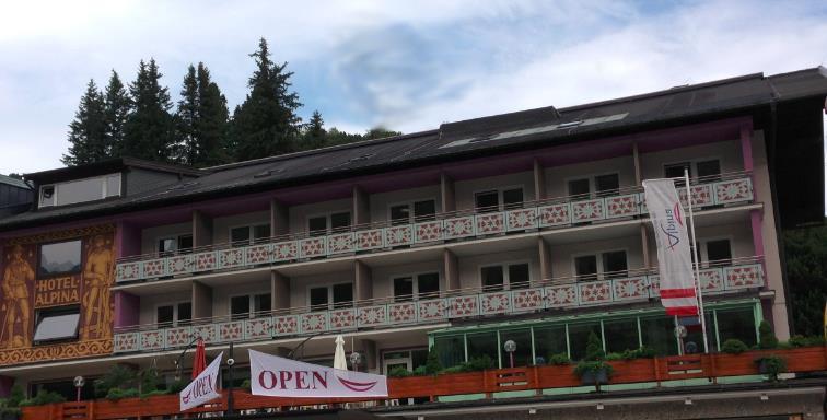 Отель Hotel Alpina