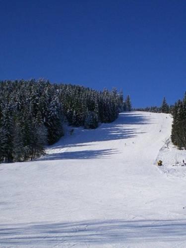 Мини-отель Privatpension Gosaukammblick