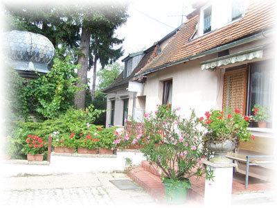 Гостевой дом Alpesi Trimmel Vendégház