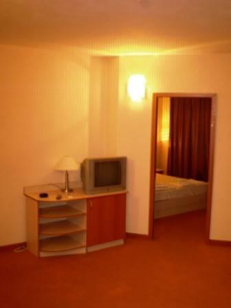 Отель Family Hotel Saga