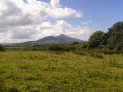 Nephin Lodge B&B