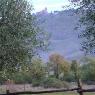 Отель Agriturismo Santa Maria