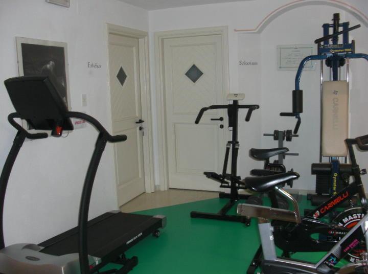 Отель Hotel Alpino Family Wellness Hotel