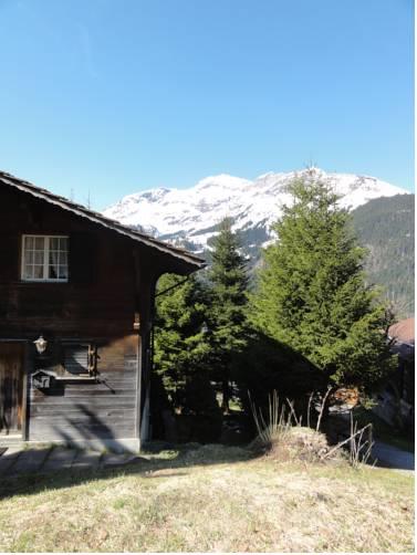 Отель Chalet Mutzli