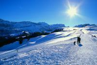Отель Alpen Hotel Residence