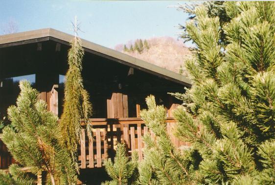 Апартаменты Chalet Fleurance