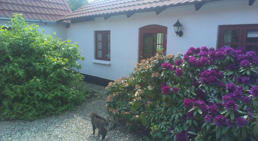 Мини-отель Vranum Bed & Breakfast