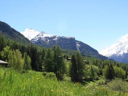 Отель Chalet Toni