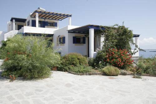 Kykladitikos Kedros