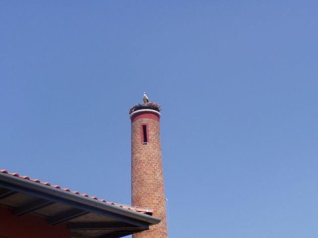 Отель Hotel Kelep