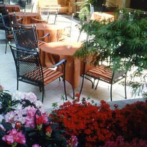 Отель Hotel Isabella