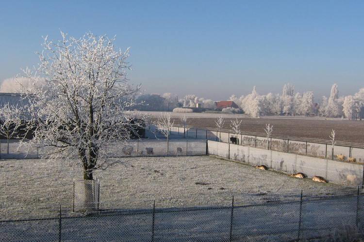 Отель Rust-Hoeve 2