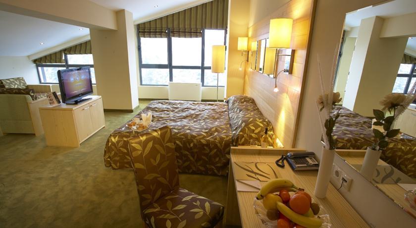 Отель Hotel Festa Chamkoria