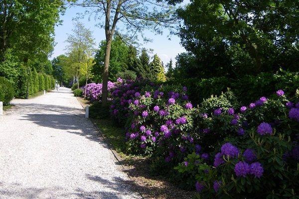 Апартаменты Landgoed Pijnenburg - Dennenoord