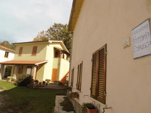 Отель Agriturismo Fattoria Etrusca