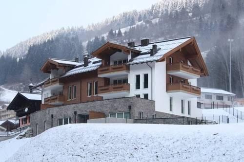 Penthouse Viehhofen
