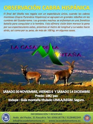 Отель Posada el Campanario