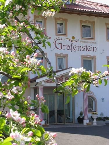 Отель Wellnesshotel Grafenstein