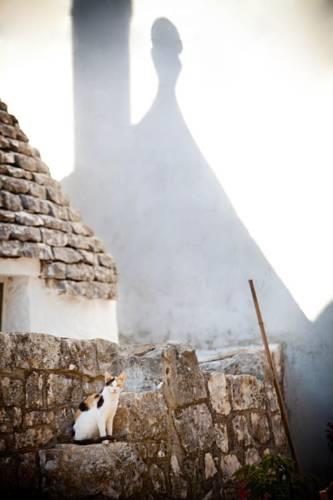 Отель Masseria Capocaccia