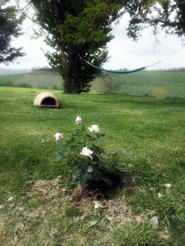 Отель Agriturismo Casa Colsereno