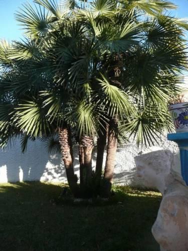 Отель Bed & Breakfast "Casa Amamos"