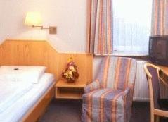 Отель Hotel Neu Heidelberg