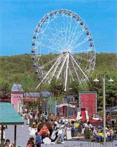 Отель St. Louis-Days Inn Eureka Six Flags