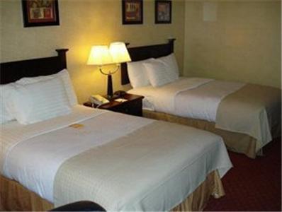 Отель Holiday Inn ROANOKE VELLEY-VIEW