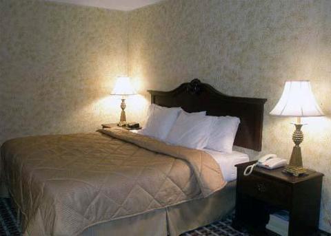 Отель Comfort Inn 