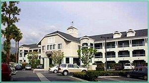 Отель Oak Tree Inn