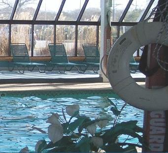 Отель Sea Crest Resort