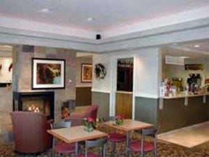 Отель Comfort Inn & Suites