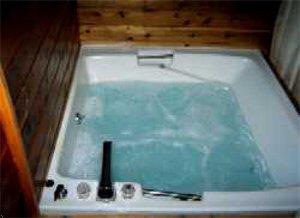 Отель Ramada Limited Pocono Tannersville