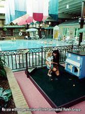 Отель Holiday Inn FREDERICK-HOLIDOME & CONF CTR