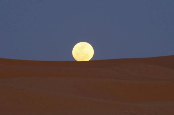 Мини-отель Auberge Kasbah Des Dunes