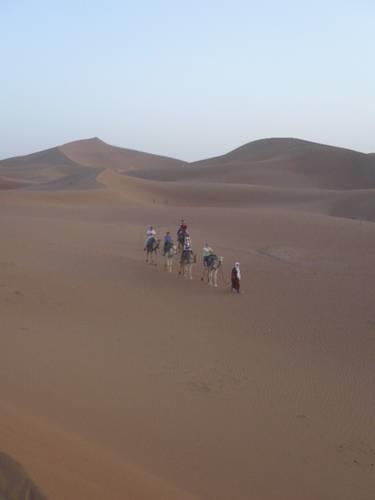 Отель Bivouac Draa