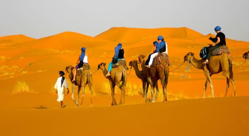 Camel Safari Camp