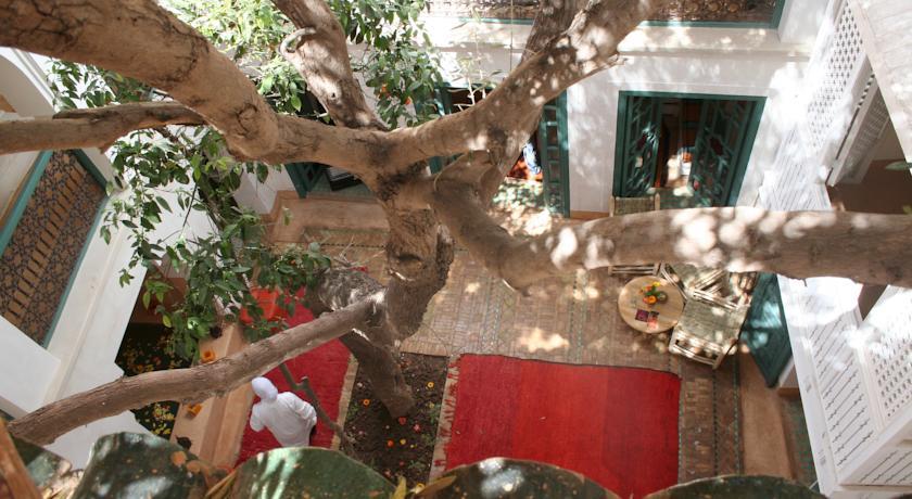 Dar Zitouna