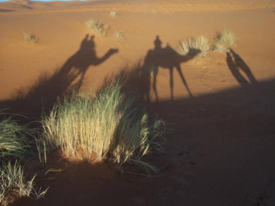 Мини-отель Kasbah Tamariste