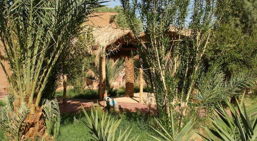 Мини-отель Relais Hamada Du Draa