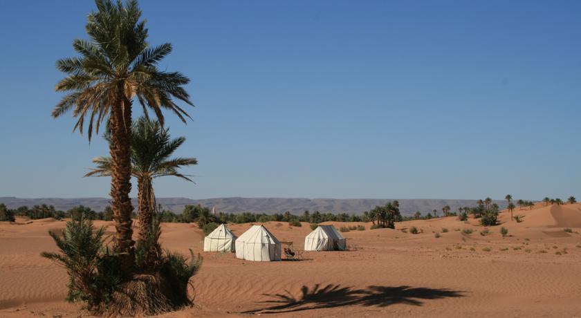 Отель Sahara Safari Camp