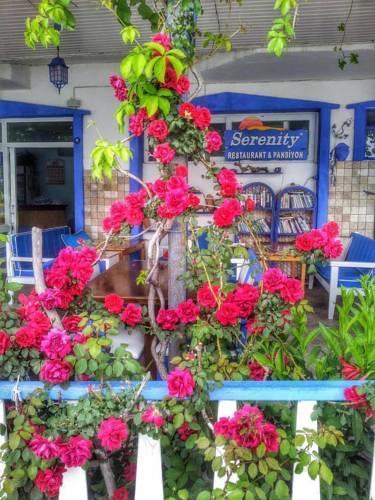 Гостевой дом Serenity Pension