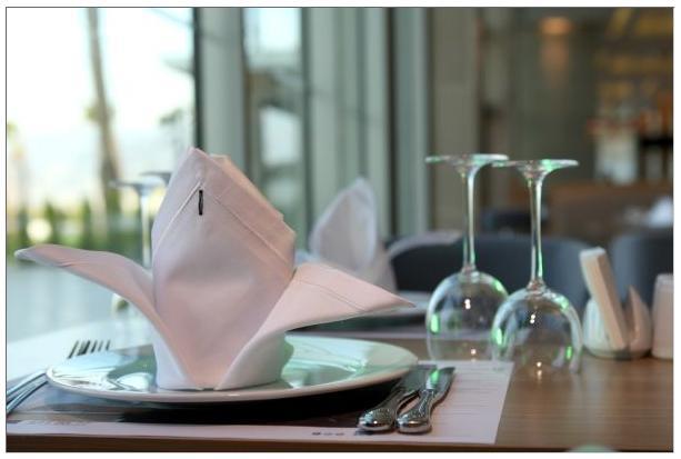 Отель Anemon Iskenderun Hotel