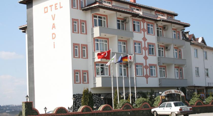 Отель Vadi Hotel