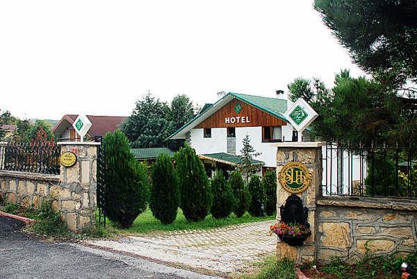 Отель TreeTops Park Hotel