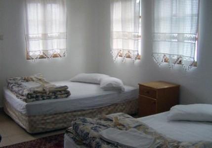 Гостевой дом Babaveli Pension