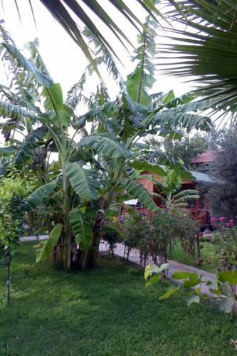Отель Estelar Hotel