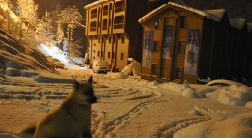 Отель Ayder Hasimoglu Hotel