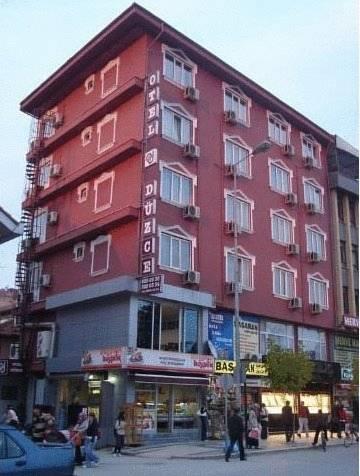 Отель Hotel Duzce