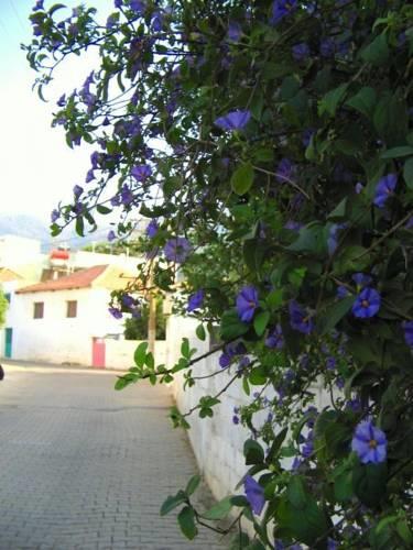 Вилла Vestas Villa Old Town